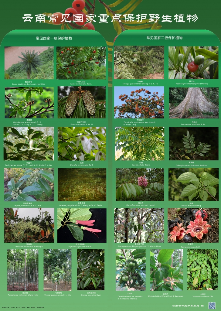 �԰��շ���Σ�������ص����ֲ����